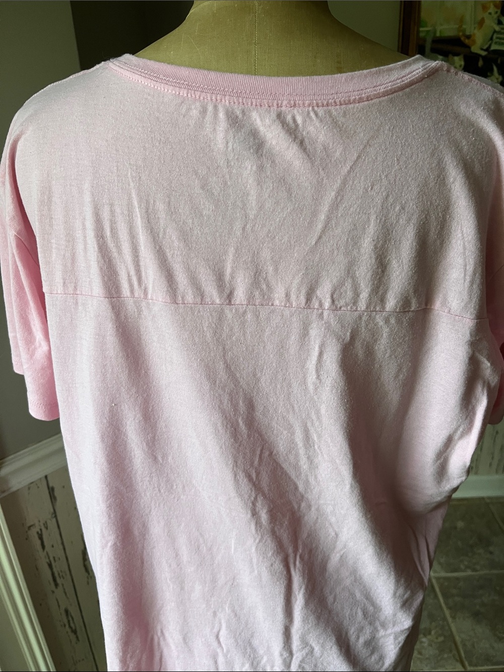 Disney Pink Lady and the Tramp Graphic V-Neck Tee sz 2xl - Picture 5 of 5